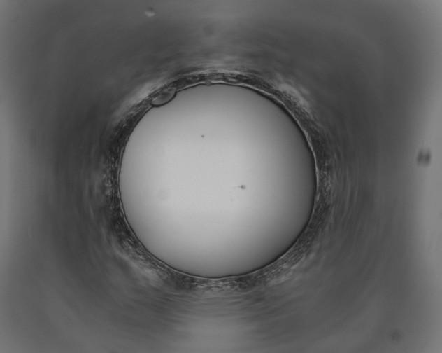 X0000090741159200708031539