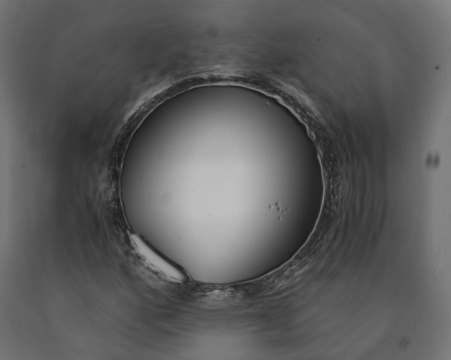 X0000090741160200708031539