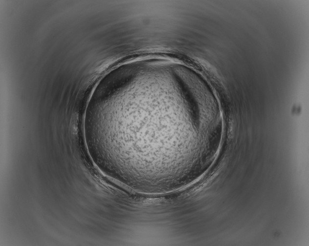 X0000090741161200708031539