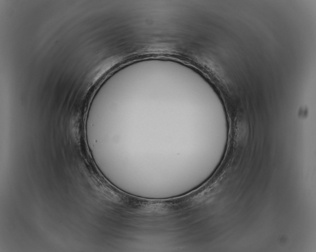 X0000090741162200708031539