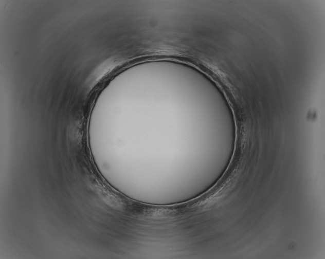 X0000090741163200708031539