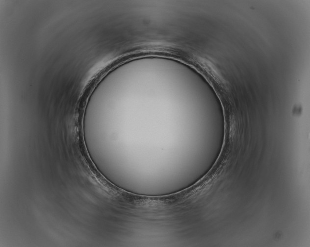 X0000090741164200708031539