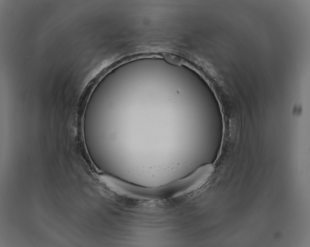 X0000090741165200708031539