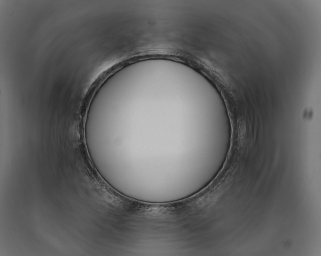 X0000090741166200708031539