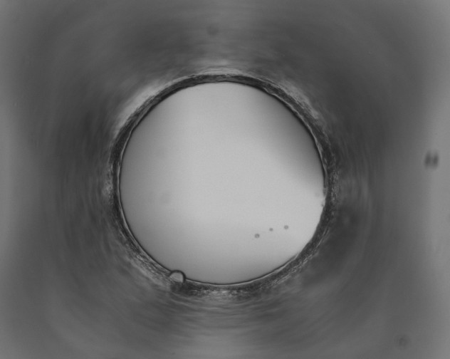 X0000090741167200708031539