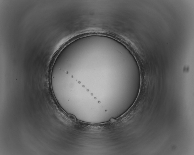 X0000090741168200708031539