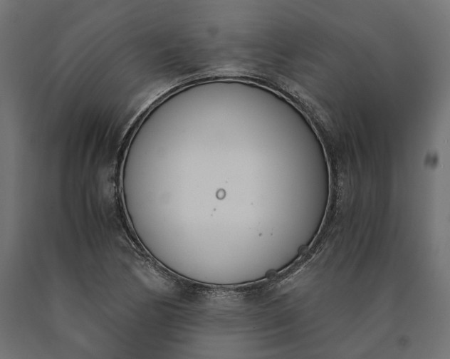 X0000090741170200708031539