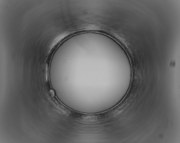 X0000090741171200708031539