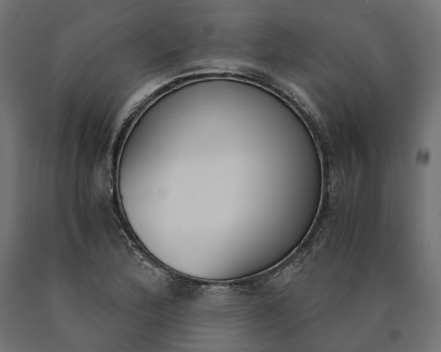 X0000090741172200708031539