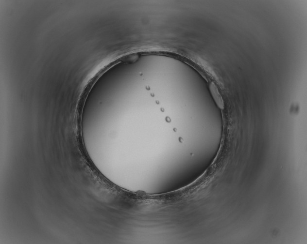 X0000090741173200708031539