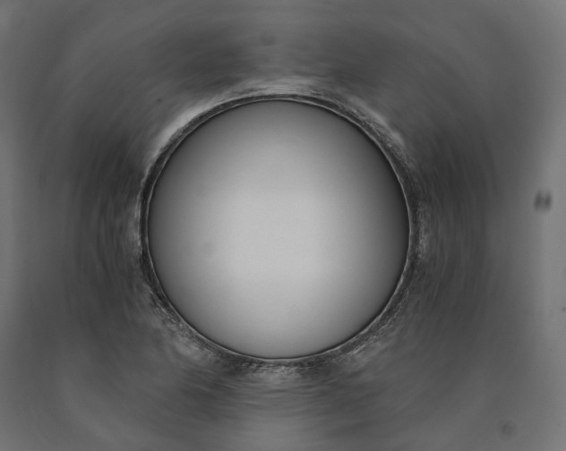 X0000090741174200708031539