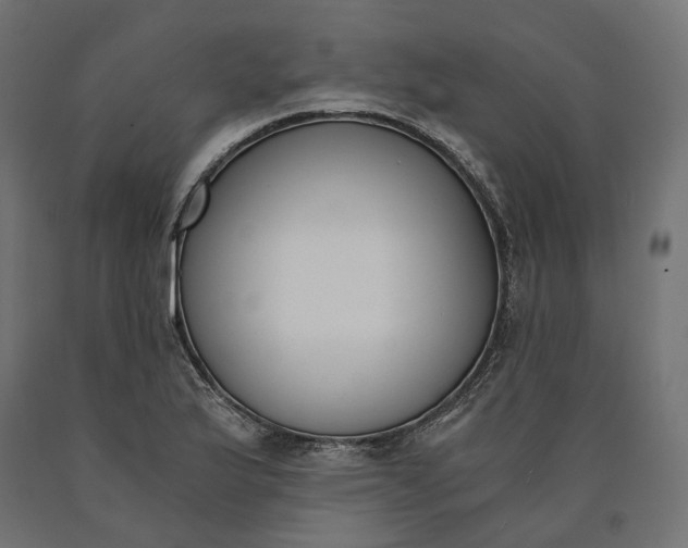 X0000090741175200708031539