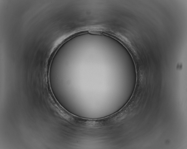 X0000090741176200708031539