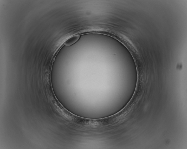 X0000090741177200708031539