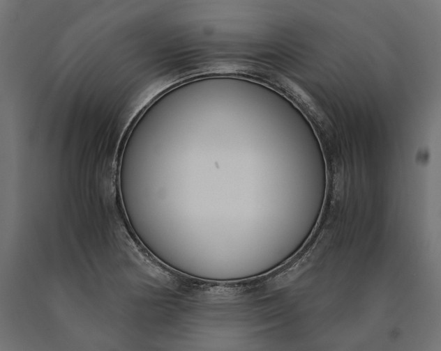 X0000090741178200708031539