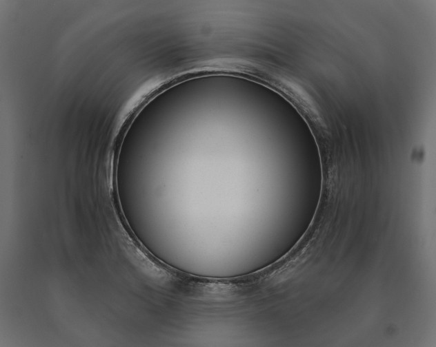 X0000090741180200708031539