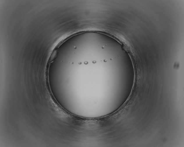 X0000090741181200708031539