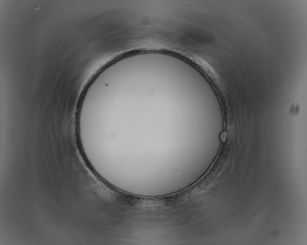 X0000090741183200708031539