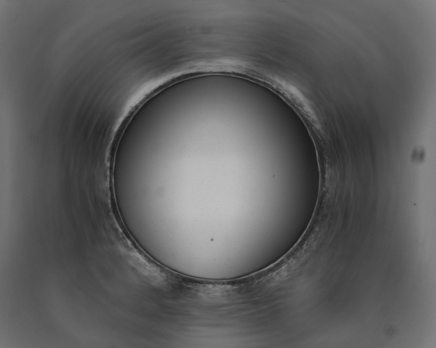 X0000090741184200708031539