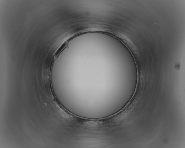 X0000090741185200708031539