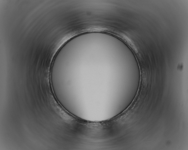 X0000090741186200708031539