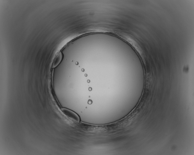 X0000090741187200708031539