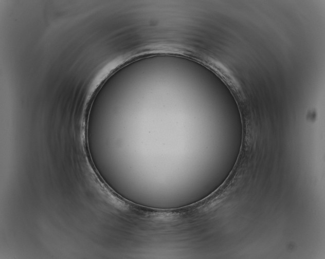 X0000090741188200708031539