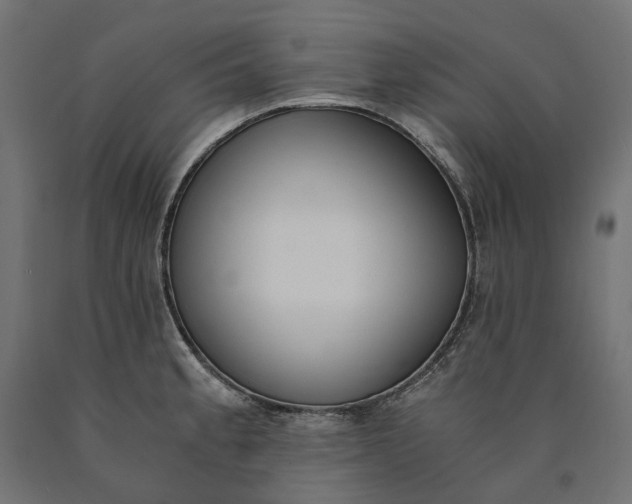 X0000090741189200708031539