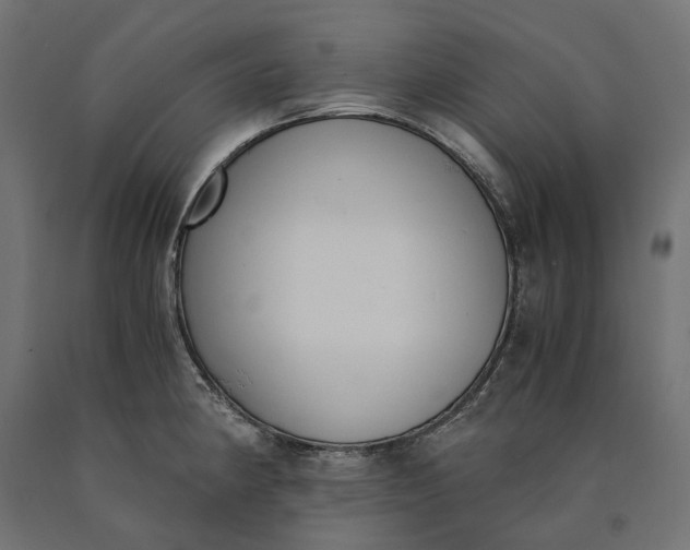 X0000090741190200708031539