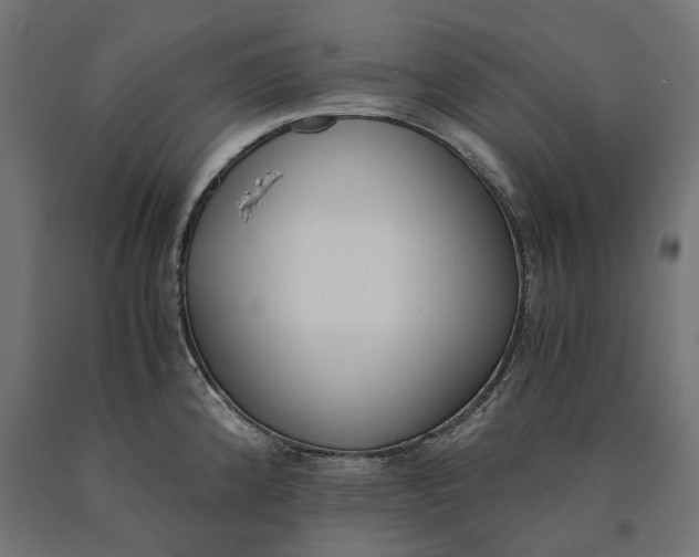 X0000090741192200708031539