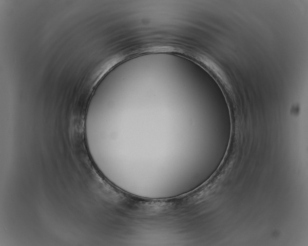 X0000090741193200708031539