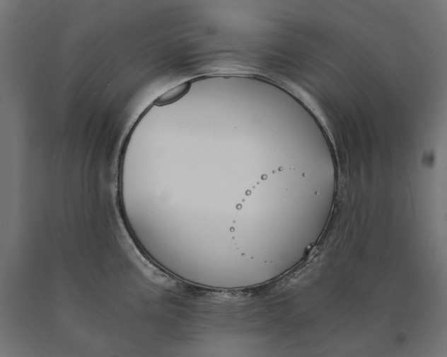 X0000090741195200708031539