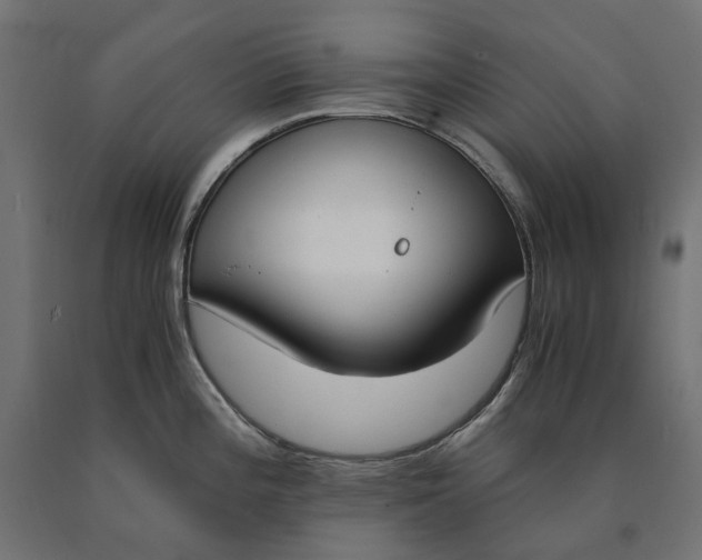 X0000090741196200708031539