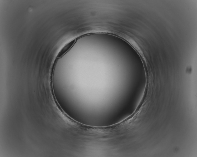 X0000090741197200708031539