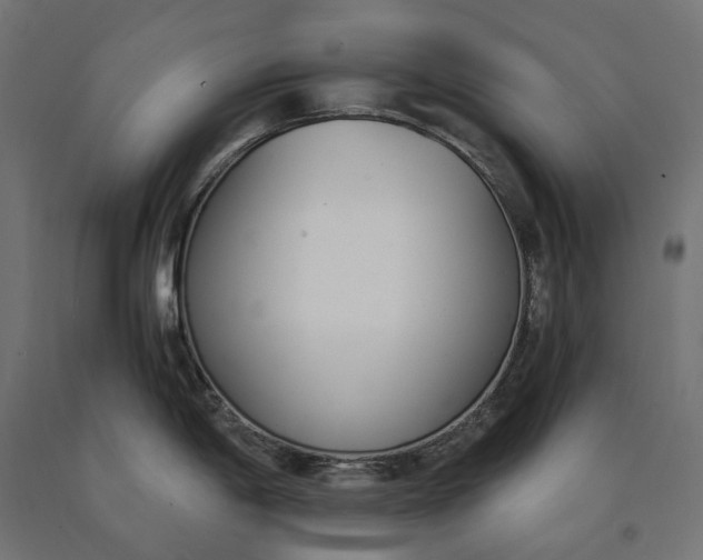 X0000090741198200708031539