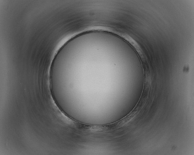 X0000090741199200708031539