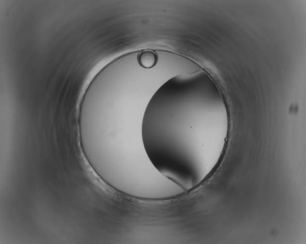 X0000090741200200708031539