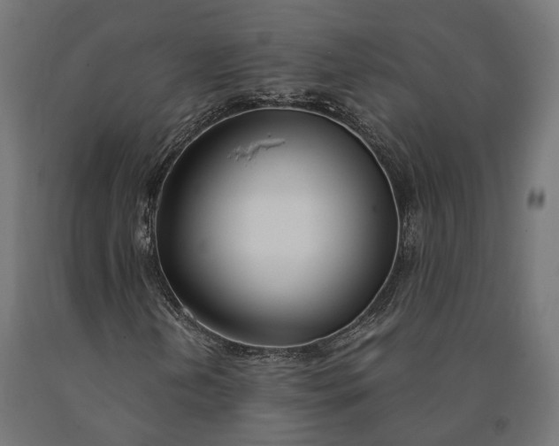 X0000090741202200708031538