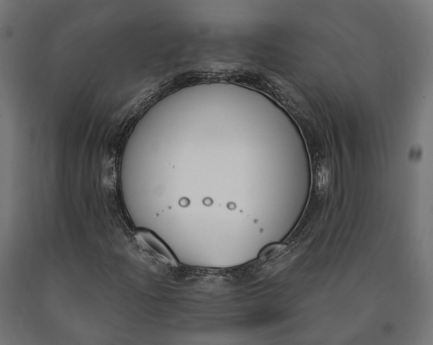 X0000090741204200708031538