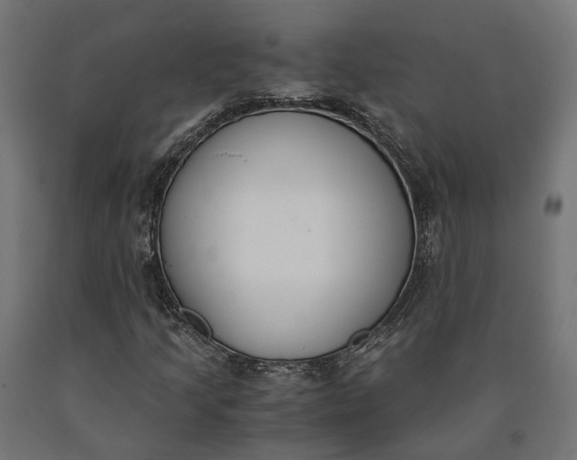 X0000090741205200708031538