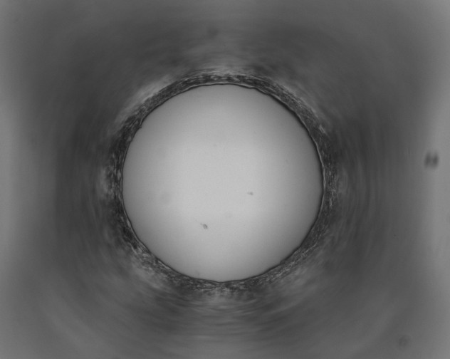 X0000090741207200708031538