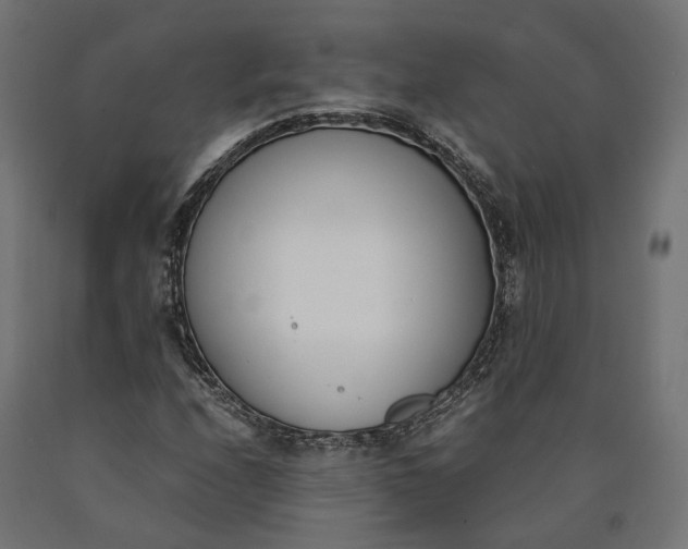 X0000090741208200708031538