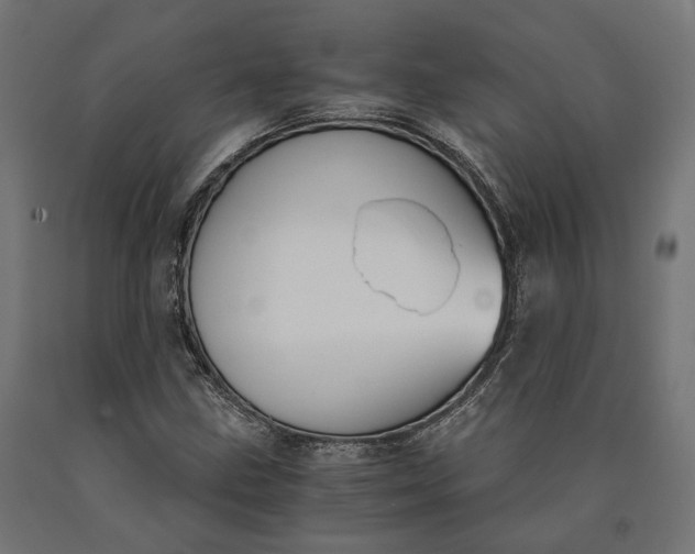 X0000090741211200708031538