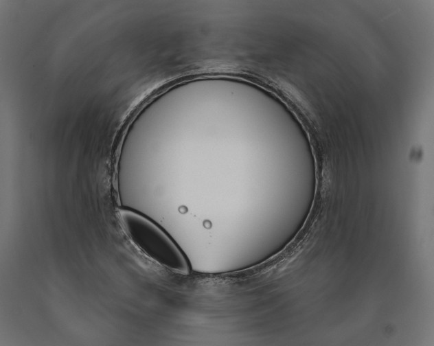 X0000090741212200708031538