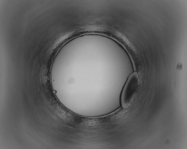 X0000090741213200708031538