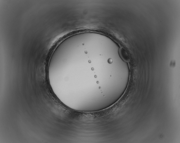 X0000090741214200708031538