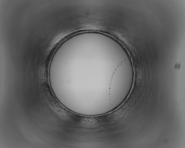 X0000090741215200708031538