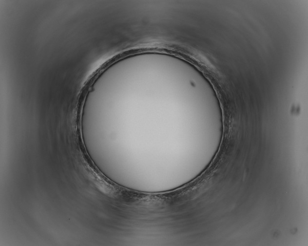 X0000090741216200708031538