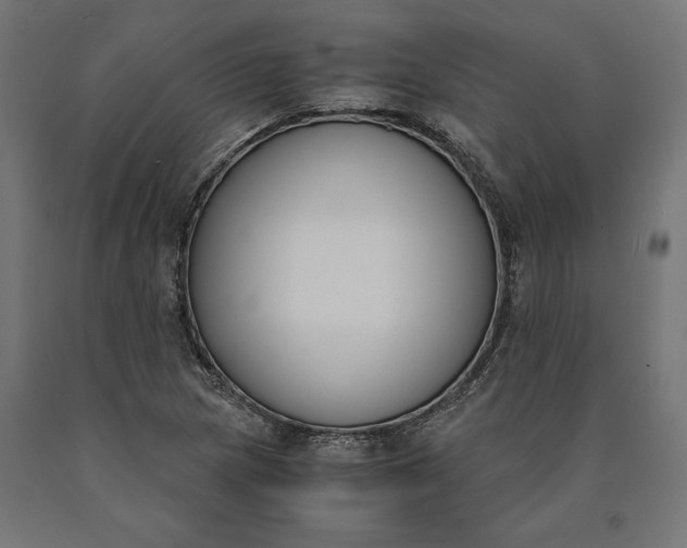 X0000090741217200708031538