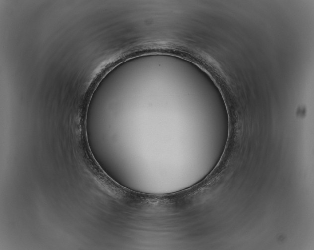 X0000090741218200708031538